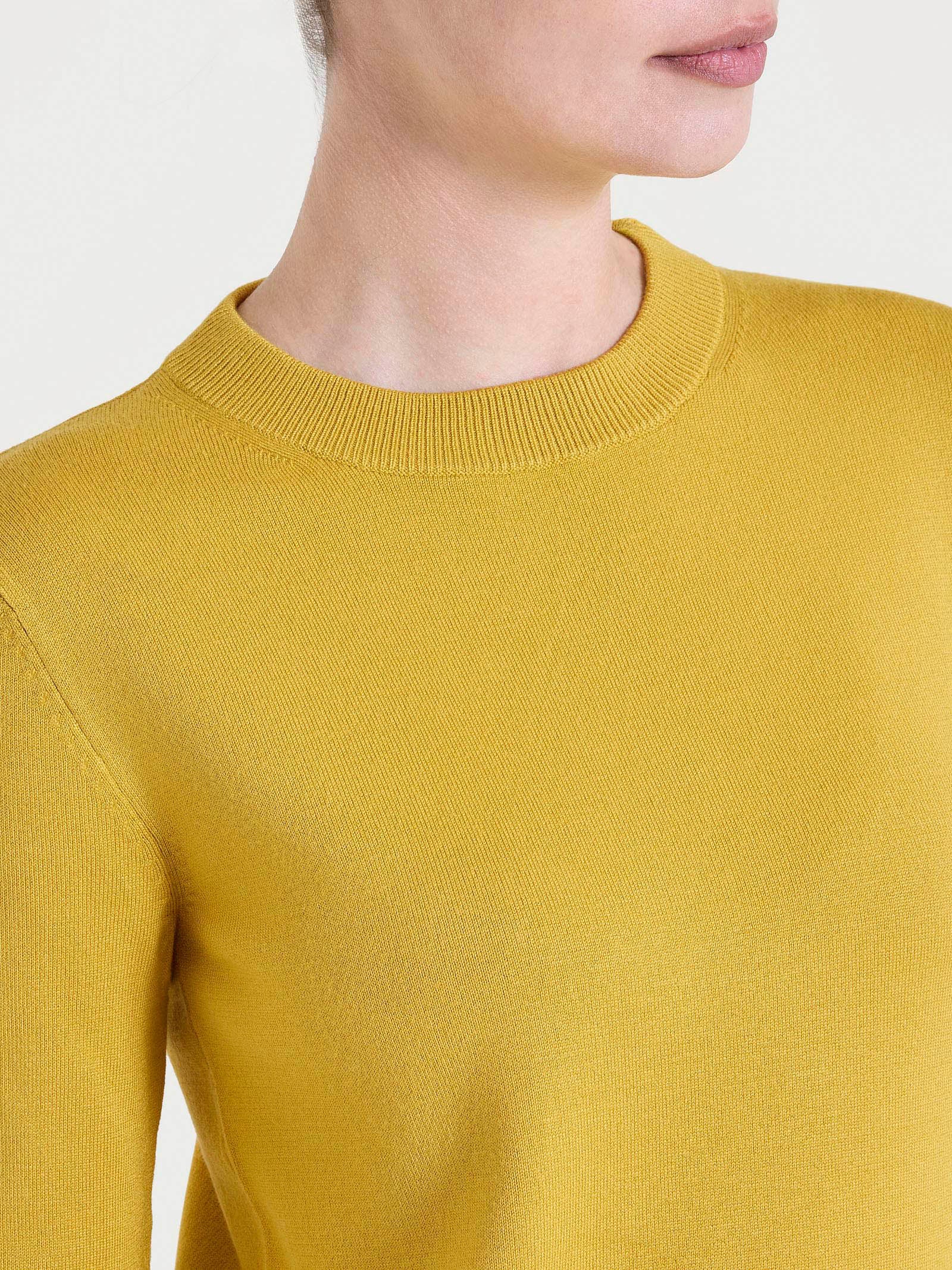 Maglia girocollo Four Seasons - Oil Yellow - Image 3